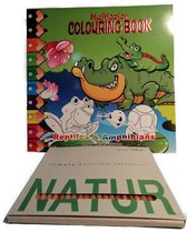 Kleurboek 29 x 29 cm - Waterdieren - Kleuren op nummer - 24 pagina's - Voordeelset 1 x kleurboek plus 36 viltstiften plus GRATIS 3 neon stiften in leuk bewaarbakje.