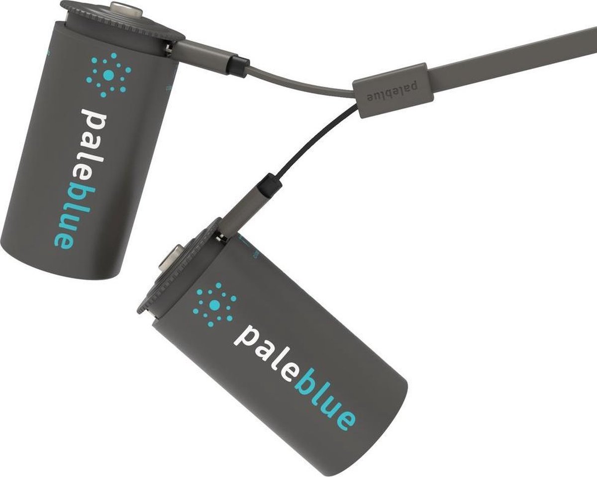 Pale Blue Earth - D USB oplaadbare batterijen (2x) - lithium - USB oplaadbaar - 1% for the planet