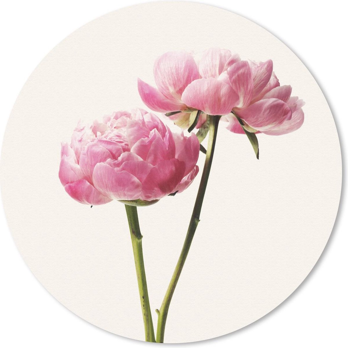 Muismat rond 40x40 cm - Mousepad Bloemen - Bloesem - Roze - Ronde muismatten