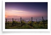 Walljar - Vineyard Sunset - Muurdecoratie - Poster
