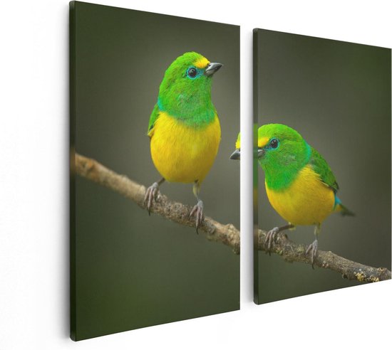 Artaza Canvas Schilderij Tweeluik Twee Groen Gele Zangvogels Op Een Tak - 80x60 - Foto Op Canvas - Canvas Print