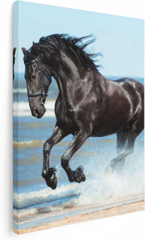 Artaza Canvas Schilderij Zwart Paard In Het Water - 30x40 - Klein - Foto Op Canvas - Canvas Print
