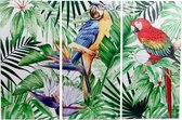 Dulaire Schilderij Papegaai Jungle/Tropisch Drieluik 78x120 cm