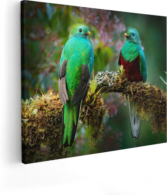 Artaza Canvas Schilderij Twee Groene Quetzal Vogels Op Een Tak - 50x40 - Foto Op Canvas - Canvas Print