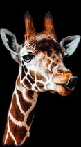 Giraffe op aluminium - Wandeko | staand 50x70cm | Wanddecoratie | Dibond
