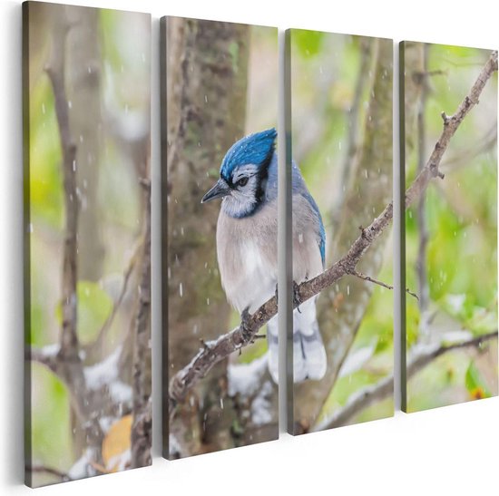 Artaza Canvas Schilderij Vierluik Blauwe Gaai Vogel In De Sneeuw - 80x60 - Foto Op Canvas - Canvas Print