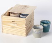 Costa Nova - vaisselle - multicolore - coffret cadeau - 8 tasses lungo - H 7,5 cm