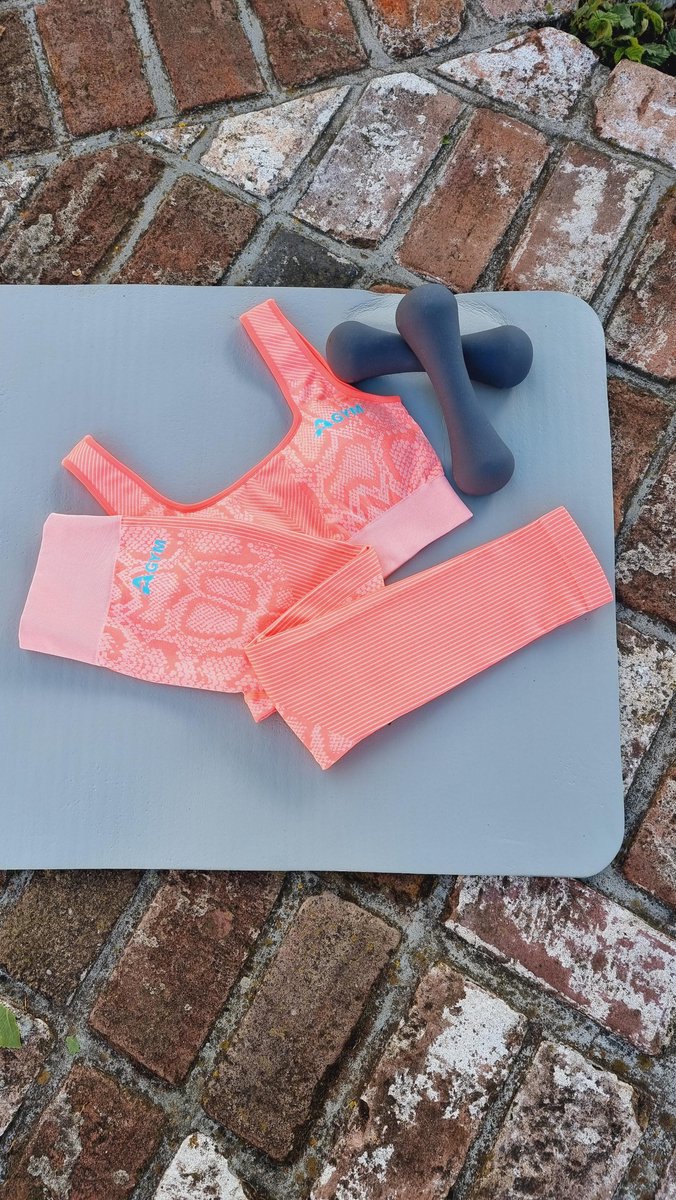 AGYM seamless workout set van 2 roze Dames sportkleding