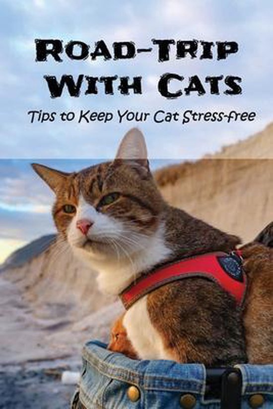 RoadTrip With Cats Tips to Keep Your Cat Stressfree, Melissa Winkels
