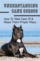 Understanding Cane Corsos: How To Take Care Of & Raise Them Proper Ways