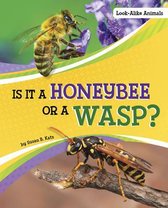 Look-Alike Animals- Is it a Honeybee or a Wasp