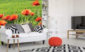 Dimex Poppy Field Vlies Fotobehang 225x250cm 3-banen