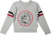 Vinrose jongens sweater grey melange maat 134/140
