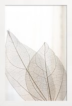 JUNIQE - Poster in houten lijst Skeleton Leaves -30x45 /Ivoor