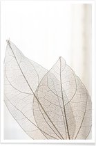 JUNIQE - Poster Skeleton Leaves -30x45 /Ivoor