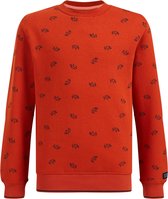 WE Fashion Jongens sweater met dessin