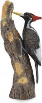 Bosdieren Ivoorsnavelspecht 4,3 x 10 cm