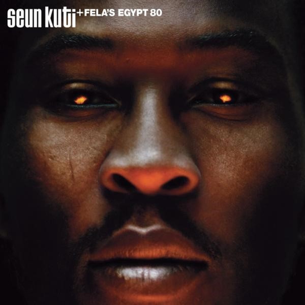 Seun Kuti & Fela's Egypt 80 - Many Things (CD)