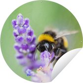 Tuincirkel Hommel - Insecten - Lavendel - 90x90 cm - Ronde Tuinposter - Buiten