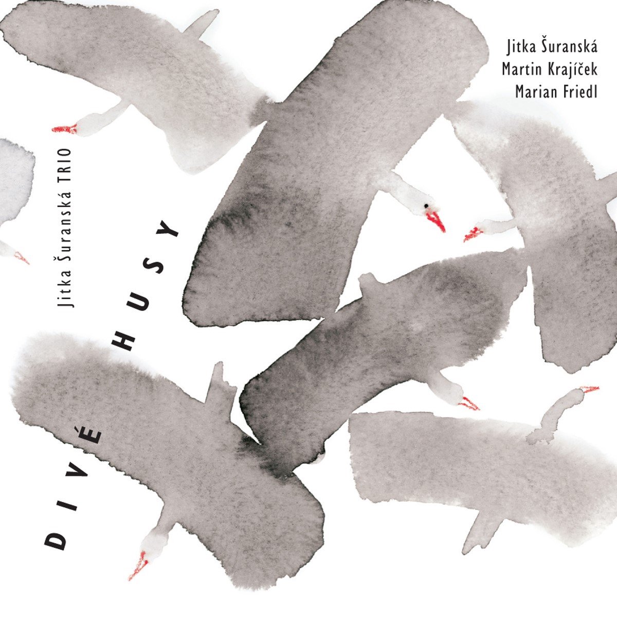 Jitka Suranská Trio - Divé Husy (CD)