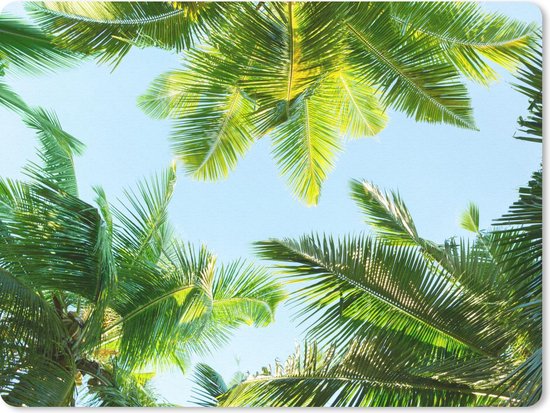 Muismat Groot - Palmblad - Lucht - Zomer - 40x30 cm - Mousepad - Muismat