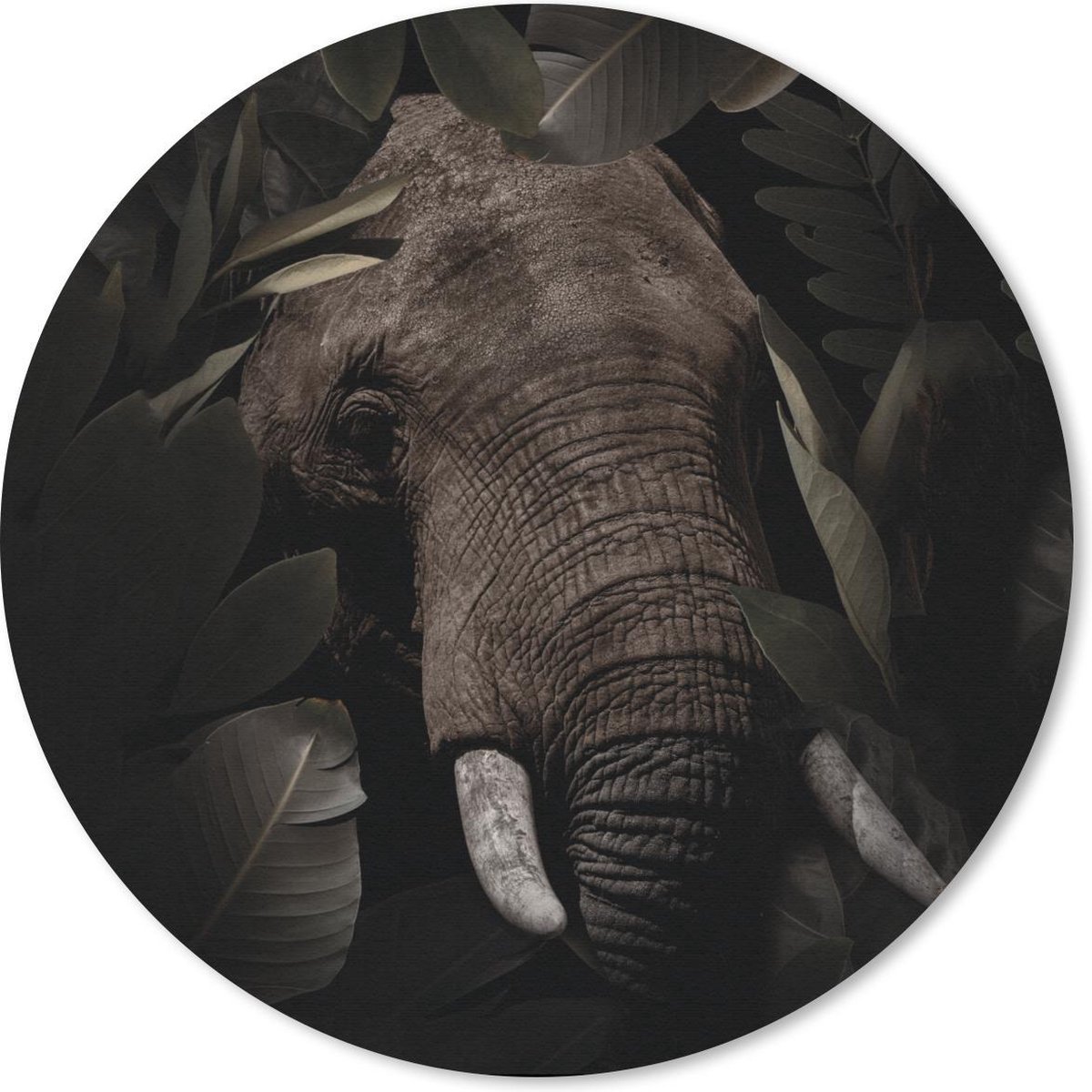 Muismat rond 30x30 cm - Mousepad Olifant - Dieren - Bladeren - Botanisch - Ronde muismatten
