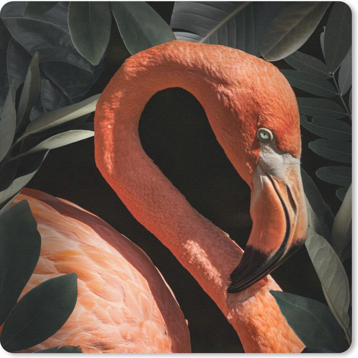 Muismat 20x20 cm - Mousepad Flamingo - Bladeren - Portret - Botanisch - Muismatten