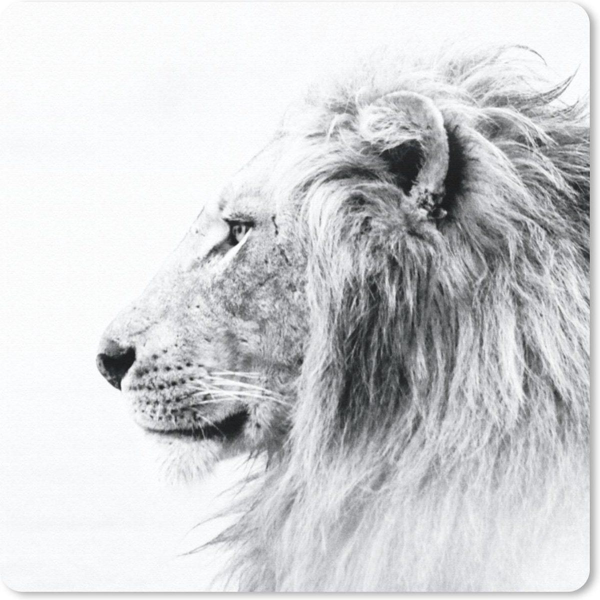 Muismat 20x20 cm - Mousepad Leeuw - Zwart - Wit - Dieren - Muismatten