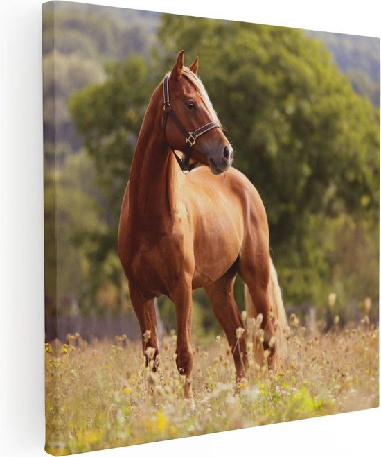 Artaza Peinture Sur Toile Cheval Brun Dans Le Pré - 40x40 - Klein - Photo Sur Toile - Impression Sur Toile