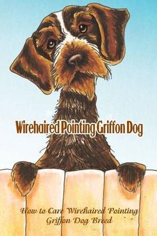 Wirehaired Pointing Griffon Dog: How to Care Wirehaired Pointing Griffon Dog Breed
