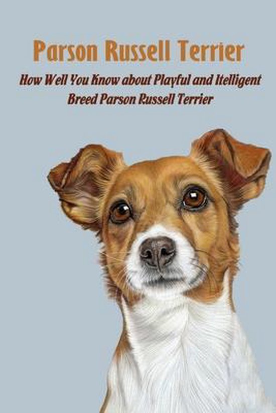 Parson Russell Terrier: How Well You Know about Playful and Itelligent Breed Parson Russell Terrier