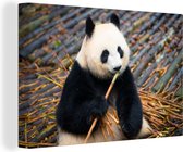 Canvas Schilderij Panda - Bamboe - Bladeren - 90x60 cm - Wanddecoratie