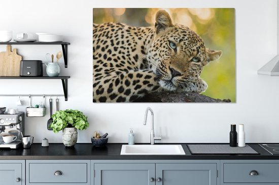 Peintures sur toile Léopard - Nature - Coucher de soleil - 120x80 cm - Décoration murale