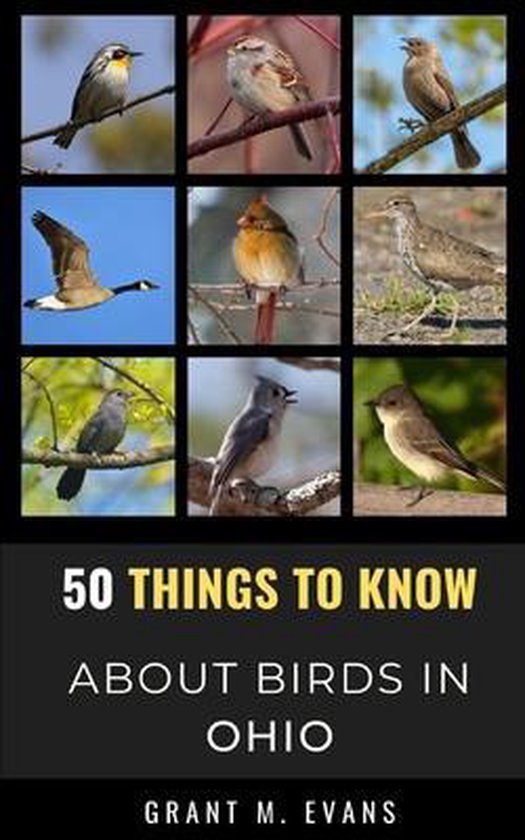 50 Things to Know about Birds- United States- 50 Things to Know About Birds in Ohio