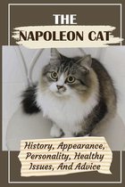 The Napoleon Cat: History, Appearance, Personality, Healthy Issues, And Advice