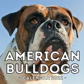 American Bulldogs Calendar 2022