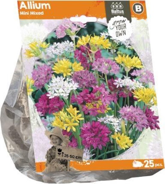 Baltus Allium Mini Mixed Bloembollen Per Stuks Bol Com