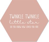 Muurhexagon twinkle twinkel zalm Dibond - Aanbevolen / 18 x 15 cm