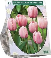 Plantenwinkel Tulipa Salmon Impression Darwin tulpen bloembollen per 15 stuks