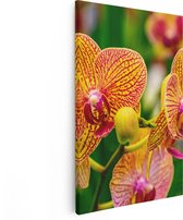 Artaza Canvas Schilderij Geel Rode Orchidee Bloemen - 40x60 - Poster Foto op Canvas - Canvas Print