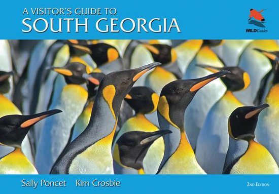 A Visitor's Guide to South ...