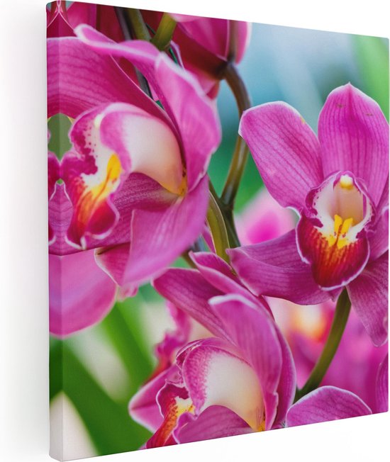 Artaza Canvas Schilderij Licht Paarse Orchidee Bloemen  - 90x90 - Groot - Foto Op Canvas - Canvas Print