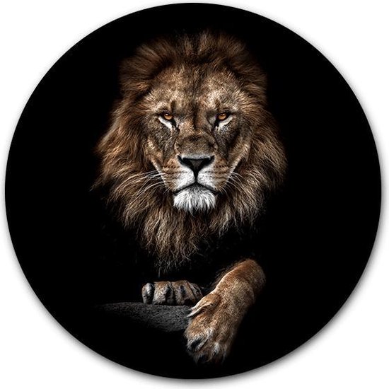 Tuincirkel Lion King - WallCatcher | Tuinposter rond 80 cm | Buiten muurcirkel Leeuw