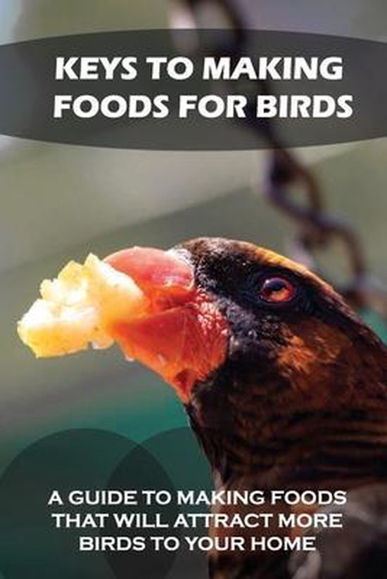 Keys To Making Foods For Birds A Guide To Making Foods That Will