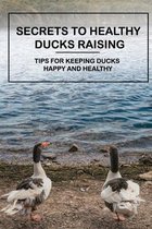 Secrets To Healthy Ducks Raising: Tips For Keeping Ducks Happy And Healthy