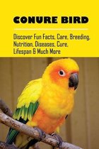 Conure Bird: Discover Fun Facts, Care, Breeding, Nutrition, Diseases, Cure, Lifespan & Much More