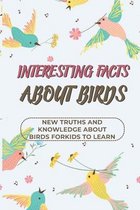Interesting Facts About Birds: New Truths And Knowledge About Birds For Kids To Learn