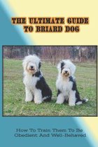 The Ultimate Guide To Briard Dog: How To Train Them To Be Obedient And Well-Behaved