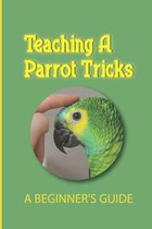 Teaching A Parrot Tricks: A Beginner's Guide