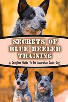 Secrets Of Blue Heeler Training: A Complete Guide To The Australian Cattle Dog